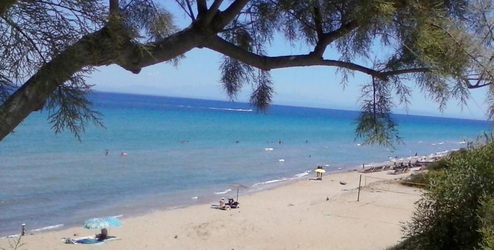 Stamiris Hotel Vasilikos (Zakynthos)
